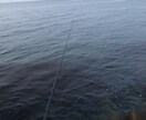 釣りの上達の仕方を教えます とりあえず1匹釣りたい！！(^^)そんな貴方に！ イメージ1