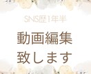 動画編集致します SNS歴1年半のわたしがおしゃれでわかりやすく行います！ イメージ1
