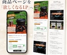 現役ECマーケターが商品ページをLPに作り替えます スペックの羅列で終わらない、商品ページを1本まるごと イメージ5