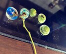 普段のお悩み事お聞きします 普段の生活にゆとりと癒しを✩.*˚ イメージ5