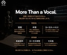 大手音楽案件で採用多数｜仮歌・本歌を歌います 洋楽仕込みの歌唱力・表現力で、楽曲に魂を。 イメージ5