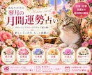 あなただけの翌月の運勢をタロットで占います 恋愛・仕事・金運まで、あなた専用の1ヶ月の運勢を丁寧に鑑定 イメージ1