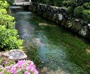 あなたのお悩み、前向きにリーディングします 元スイミングスクールコーチがあなたに寄り添い前向き鑑定♪ イメージ3