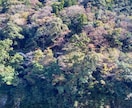 香川の観光地・観光名所・グルメの取材・執筆します 地方在住者でないとわからない魅力を発信 イメージ2