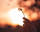 人間関係・人生相談に寄り添います タロット占い・直感力で解きほぐします イメージ2