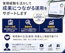 インスタ、Meta広告の初期設定を代行します 【5名様限定｜通常8,000円→3,000円】 イメージ4