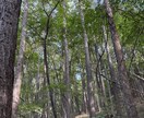 魂の覚醒を進める皆神山ヒーリングをします 皆神山から遠隔でエネルギーをお送りします。 イメージ4