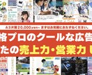 プロのデザイナーがA3広告15000円で作成します プロが作る説得力のある販促物でビジネスを積極的に広げましょう イメージ1