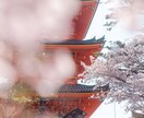 撮ってほしい写真を代行して撮ります ホームページや物撮りなど使いたいものを撮ります。 イメージ4