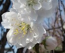 世間話からお悩み相談まで承ります *。＊☆あなたのココロのゴミ箱、１分だけでもどうぞ☆＊。* イメージ1