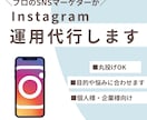 Instagramの運用代行をします プロのSNSマーケターがInstagram運用代行をします！ イメージ1