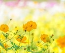 あなたの話したい！心と気持ちに寄り添いお聴きします 現役コーチが、否定せず全力であなたの味方になり心を楽にします イメージ5