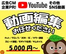 動画編集承ります 子育てママクリエイターが動画編集します！！ イメージ1