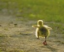 既婚者との恋愛に対して占います ダメだってわかってるけど、可能性はあるの？そんなあなたへ イメージ1