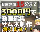 編集代行【ゆっくり】安価に満足のいく編集をします 安価で満足出来る動画を提供します。 イメージ2