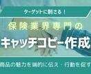 保険販売促進！刺さるキャッチコピー作成します 業界経験を活かしLPや広告で響く言葉をプロが提案 イメージ1