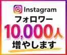 インスタグラム｜フォロワー10,000人増やします Instagram｜フォロワー増｜アフター：1年間補填対応 イメージ1