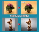プロが画像加工・修正(レタッチ)いたします 写真館での業務経験を活かして画像加工いたします イメージ7