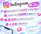 Instagramの外国人フォロワーを増加します 複数垢に振り分けのインスタフォロワー増加も対応！ イメージ8