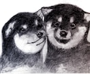 温かみのある鉛筆画でペットさんの絵をお届けします いろいろな動物描けます！記念やプレゼント用に イメージ8