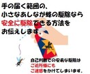 蜂(はち)の被害でお困りの方、相談にのります 現役の業者が、実績の中で、相談者の方に適した方法を伝えます。 イメージ1