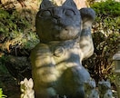ペットリーディング☆ペットの気持ちをお伝えします リピーター様とご紹介者様のお部屋です イメージ2