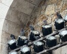 フランス渡航の全てをお伝えします ビザの取得方法、現地での生活、フランス語、何でも相談可 イメージ3