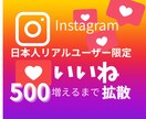 インスタ日本人ユーザーのいいね500件増やします 信頼感UP！リアルなユーザーからのいいねでアカウントを強化 イメージ1
