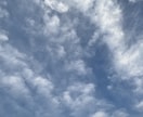 ペットの気持ち・霊感タロットで読み解きます ペット／動物／大切な家族／霊感タロット イメージ8