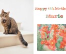 ペットのバースデーカード作ります 大切なご家族動物さんのお誕生日を彩ります！ イメージ3