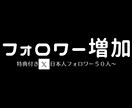 限定特典！ X・Twitterフォロワー増やします 日本人フォロワー30人～増やすようプロモーションします イメージ1