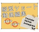 クオリティ重視　縦型ショート動画を制作いたします あなたの「好き」を形にします。 イメージ1