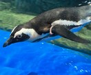 デートプランを考えます 1日のデートプランを考えます♪（レストランも調べます◎） イメージ1