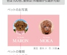2匹用　シンプルデザイン　うちの子名刺お作りします 【両面印刷100枚】送料無料　セミオーダー　QRコード入り イメージ2