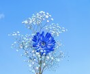 夫婦の悩みや愚痴を聞いて欲しいを叶えます アドバイスも希望があれば可能。何でも話して下さい イメージ7
