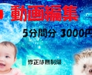 動画全般心を込めて編集したします 修正は何度でも無料です！料金もシンプル設定です。 イメージ1