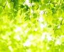 何でもお話ください♪どんなあなたも応援します 深い理解、自信を取り戻す、ストレス発散 イメージ1