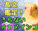 オカメインコがココナラ用サムネイルを制作します 実績800件の視点からお客様の目に留まるサムネイルを作ります イメージ3