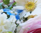 綺麗な風景画を届けます その一瞬を収めた写真を春夏秋冬で撮っています。 イメージ4