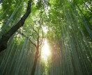 現実を変える！きっかけメッセージを受け取ります 恋愛・仕事・人間関係でお悩みの方に☆今貴方に必要なこと イメージ3