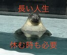 不登校･起立性調節障害･いじめ 解決策提案します 教師歴22年･我が子不登校経験有･メンタルトレーナー資格 イメージ5