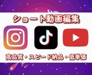 TikTokなどのショート動画編集します Instagram、TikTok、YouTube 対応可能 イメージ1