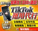 総再生数2200万超がTikTok運用代行致します 競合が始める前に!プロが集客・認知拡大・リクルート等支援! イメージ1