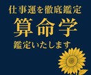 仕事運を徹底鑑定｜算命学で才能と時期を導きます 宿命図と大運・流年から、才能と転機を導きます イメージ1