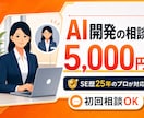 SE歴25年・AI開発の行き詰まり、相談に乗ります 独学の限界突破。AI開発の悩みに女性SEが優しくサポート イメージ1
