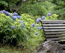 ご希望に添ったお写真をお届けします ご希望に添ったお写真をご提供させて頂きます!! イメージ4