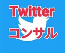 Twitter活用コンサルします あなたに最適なTwitter活用方法をアドバイスします！ イメージ1