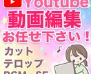 YouTube向けの動画編集を承ります テロップ・BGM挿入などの編集はおまかせください！ イメージ1