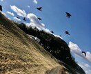 上手く言えないその気持ち、話すとスッキリします 「どう話したらいいかわからない」そう、そこから始めましょう イメージ1