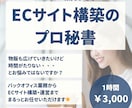 ECサイトからバックオフィス業務までサポートします ECサイトの制作・運営からバックオフィス業務までお任せ！ イメージ1